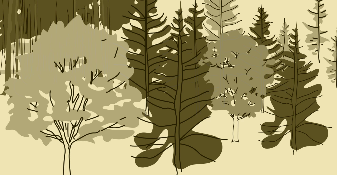 Planting for Success: Planting Strategies and Wildlife Protection photo