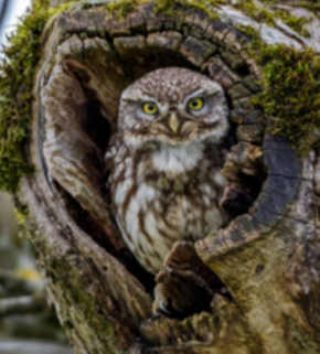 AdobeStock_482019153 (1).jpeg