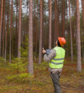 AdobeStock_539102153 (1) (1).jpeg