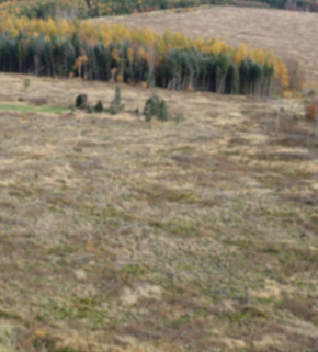 IMG_1863 (1) (1).jpg