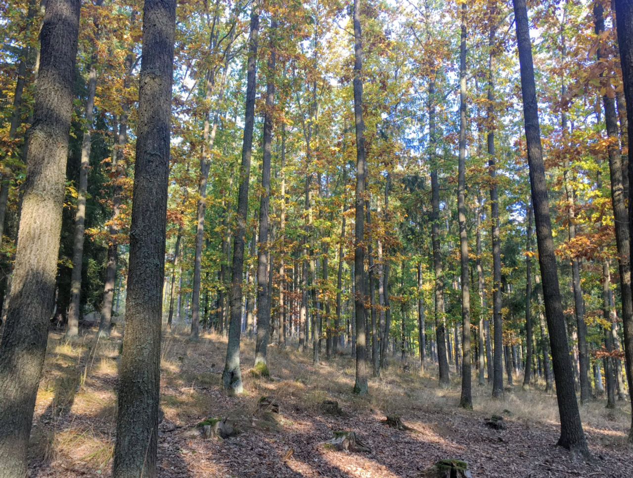 für Ihre privaten Foto