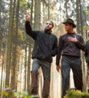 People in the forest.jpg