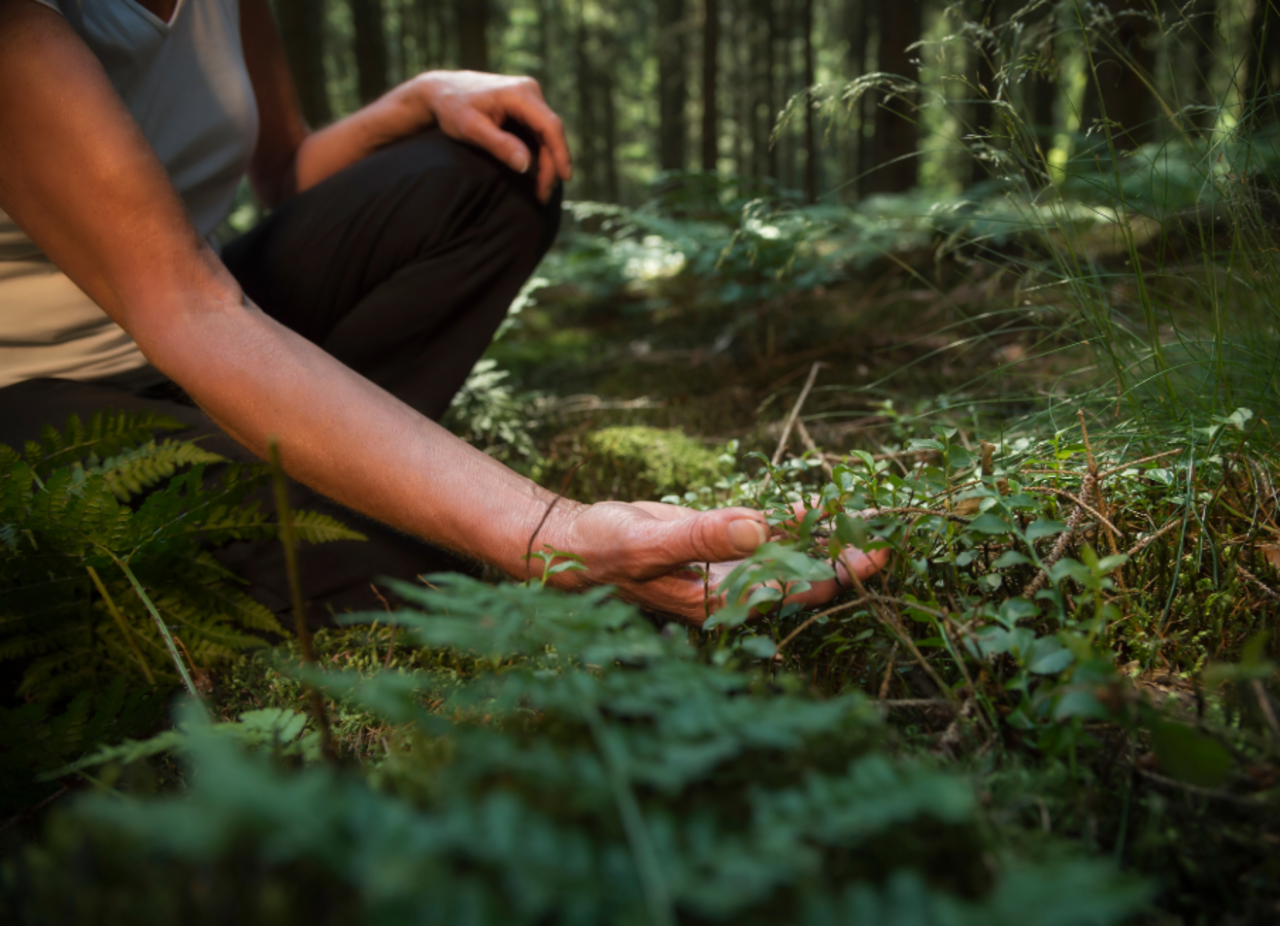 Source: Tanja Esser / Adobe Stock