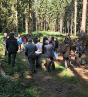 Restoration plan.jpg