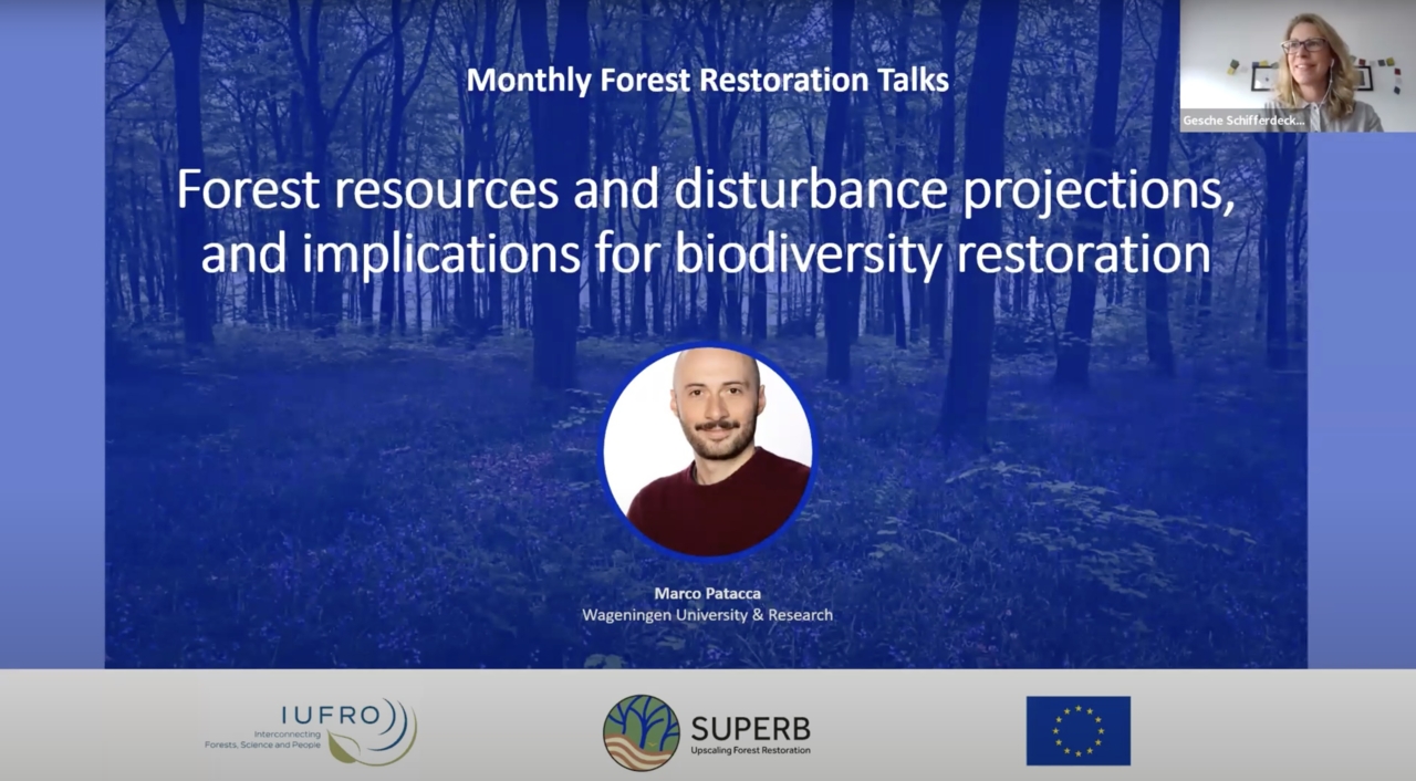 Forest Restoration Talk Webinar 18