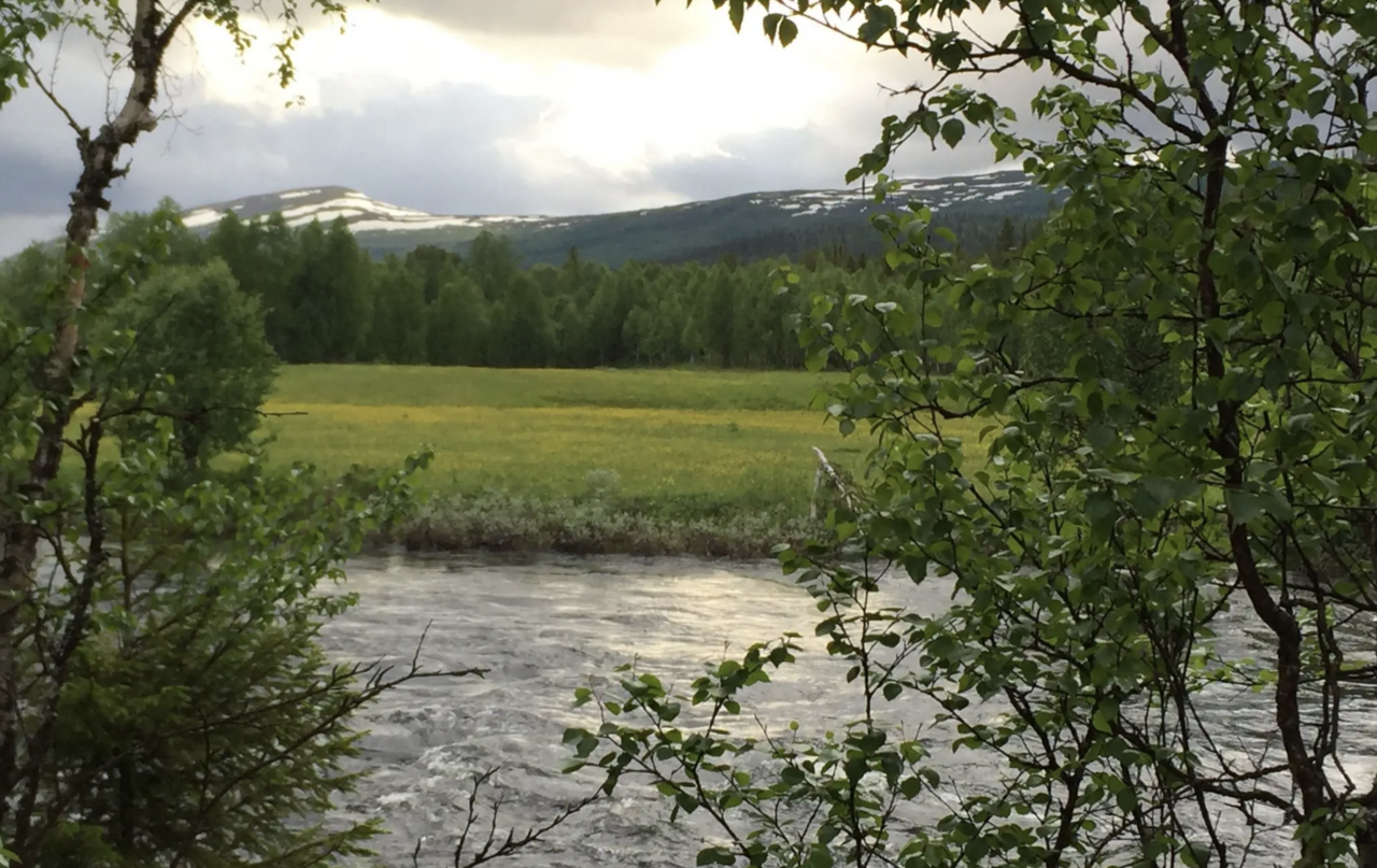 SUPERB project demo area in Sweden, Ammarnäs. PC: Anders Esselin.
