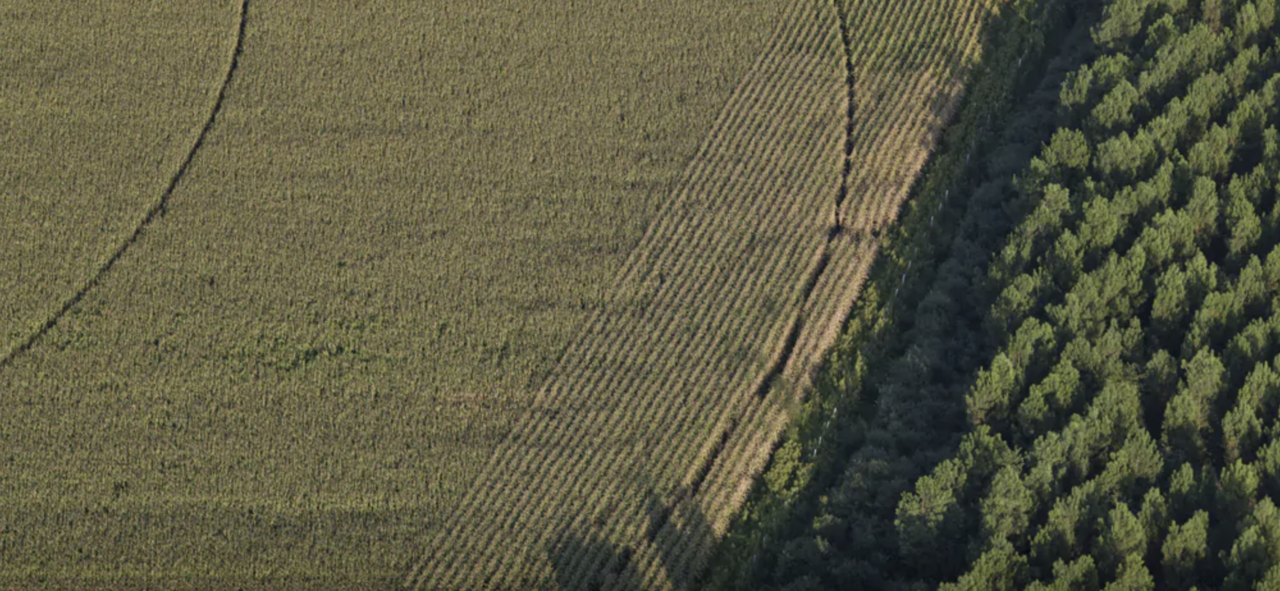 SUPERB demo area in France. Photo credit: SUPERB project.