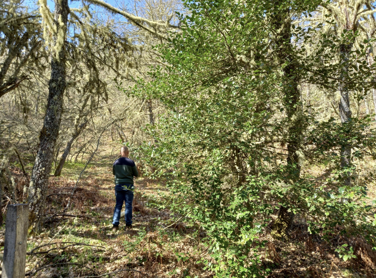 SUPERB demo area in Spain. Photo credit: SUPERB project.