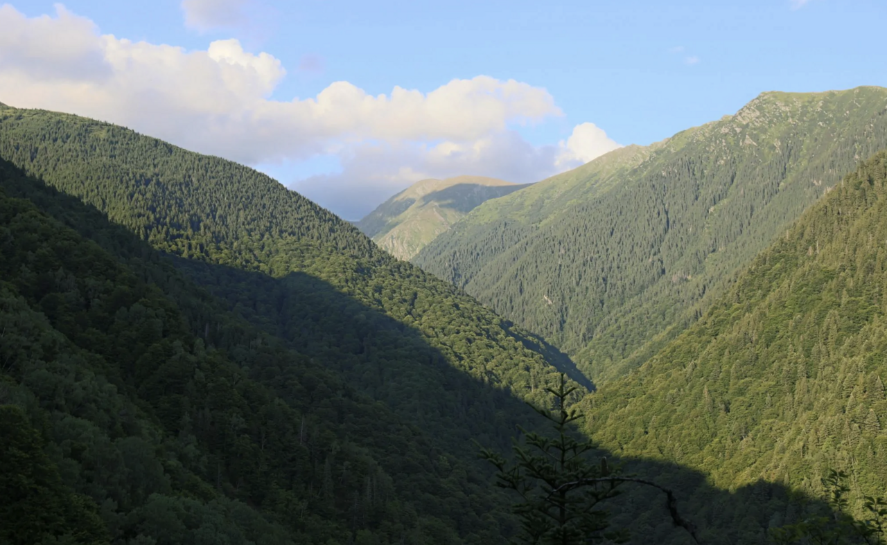 SUPERB demo area in Romania. Photo credit: SUPERB project.