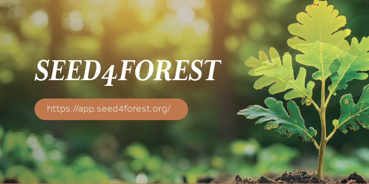 Photo: Seed4Forest flyer, Shanqing Gao