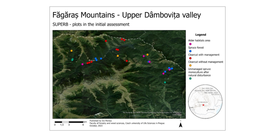 Assessment of initial situtation of restoration areas