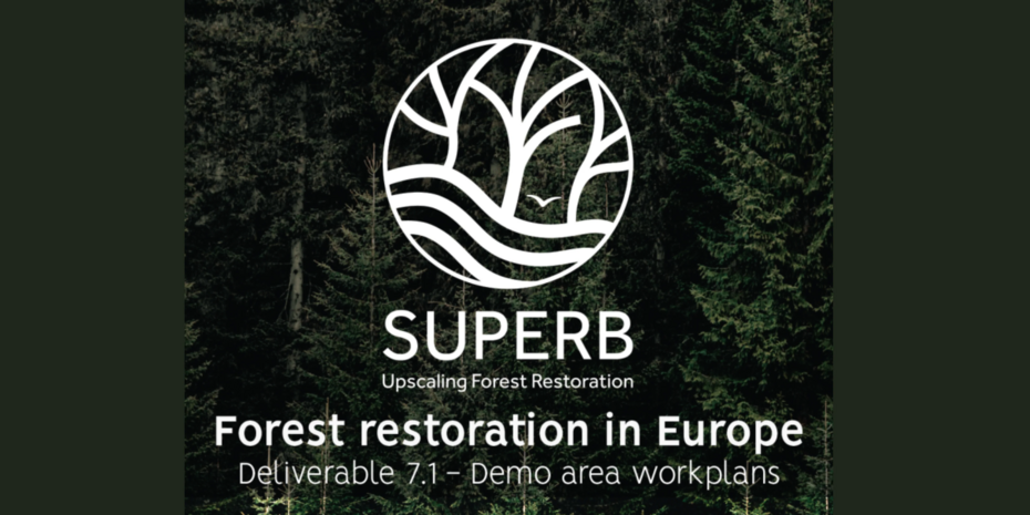 Forest restoration in practice