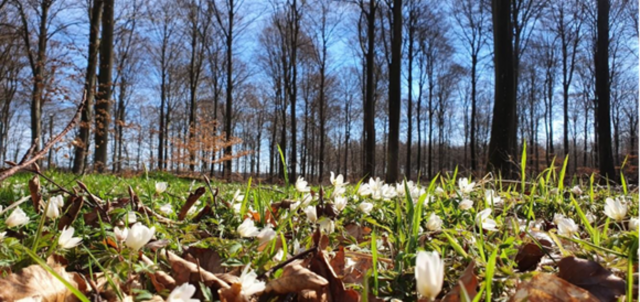 für Ihre privaten Foto