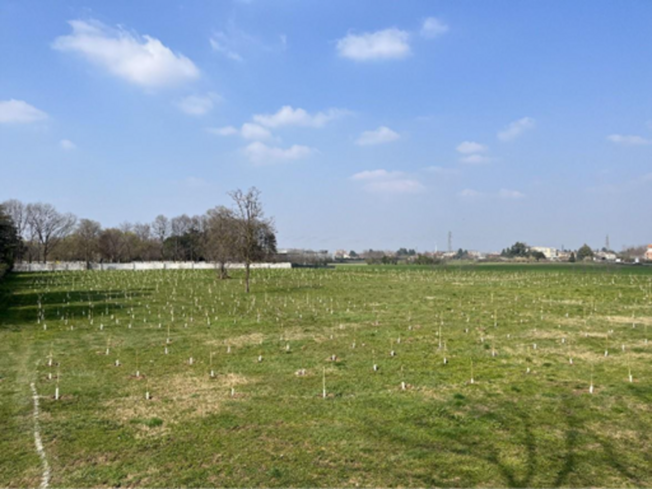 für Ihre privaten Foto