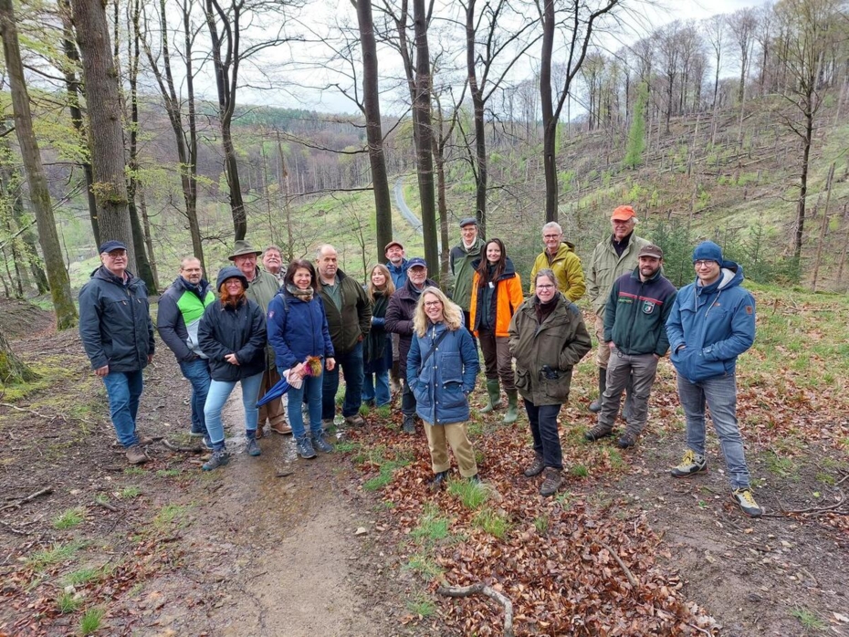 Restoring after forest dieback