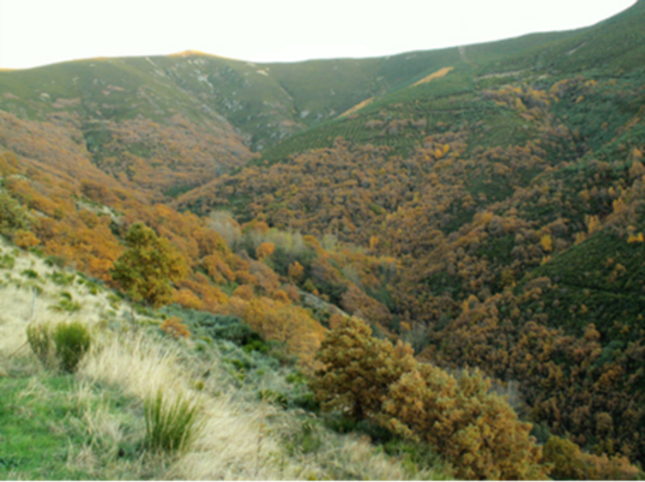 für Ihre privaten Foto