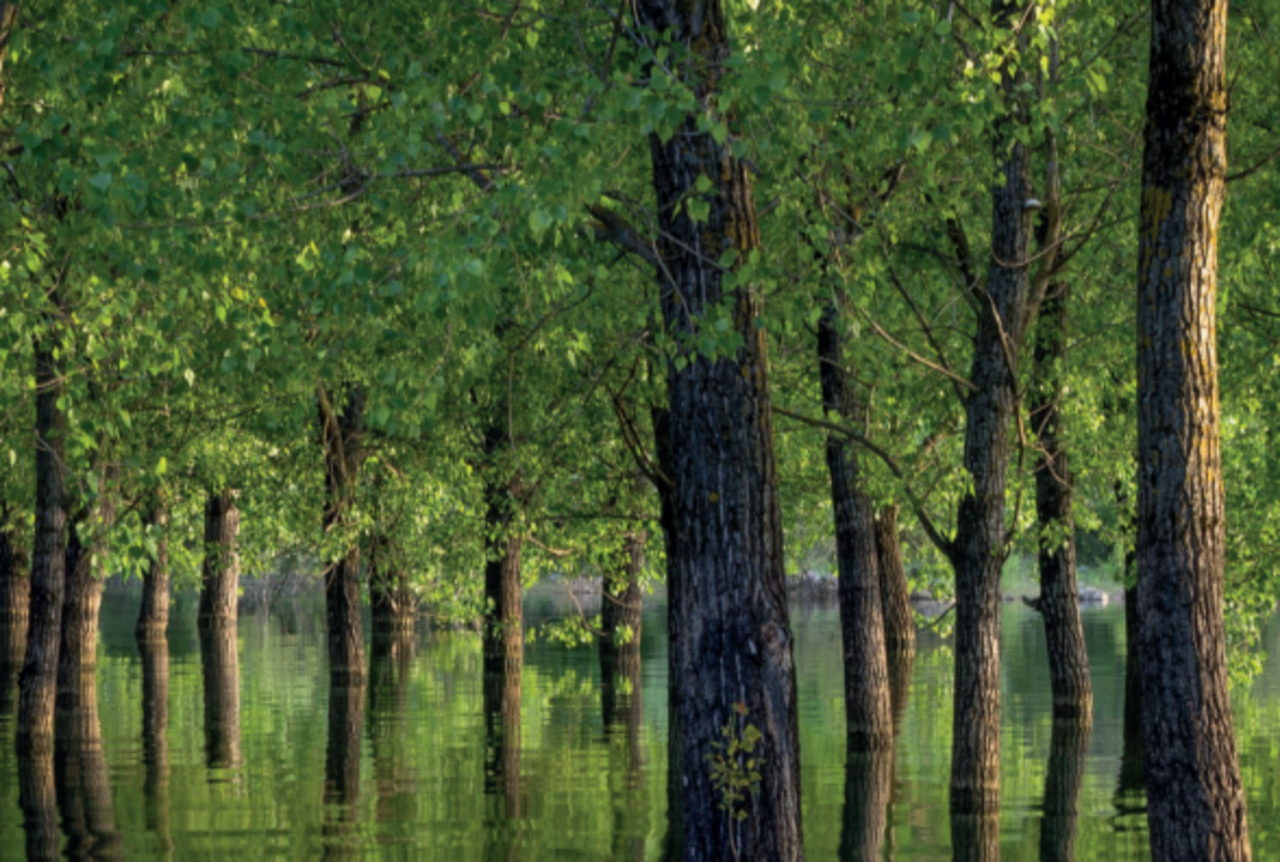 Source: Ivan Banovic, WaterPIX/EEA